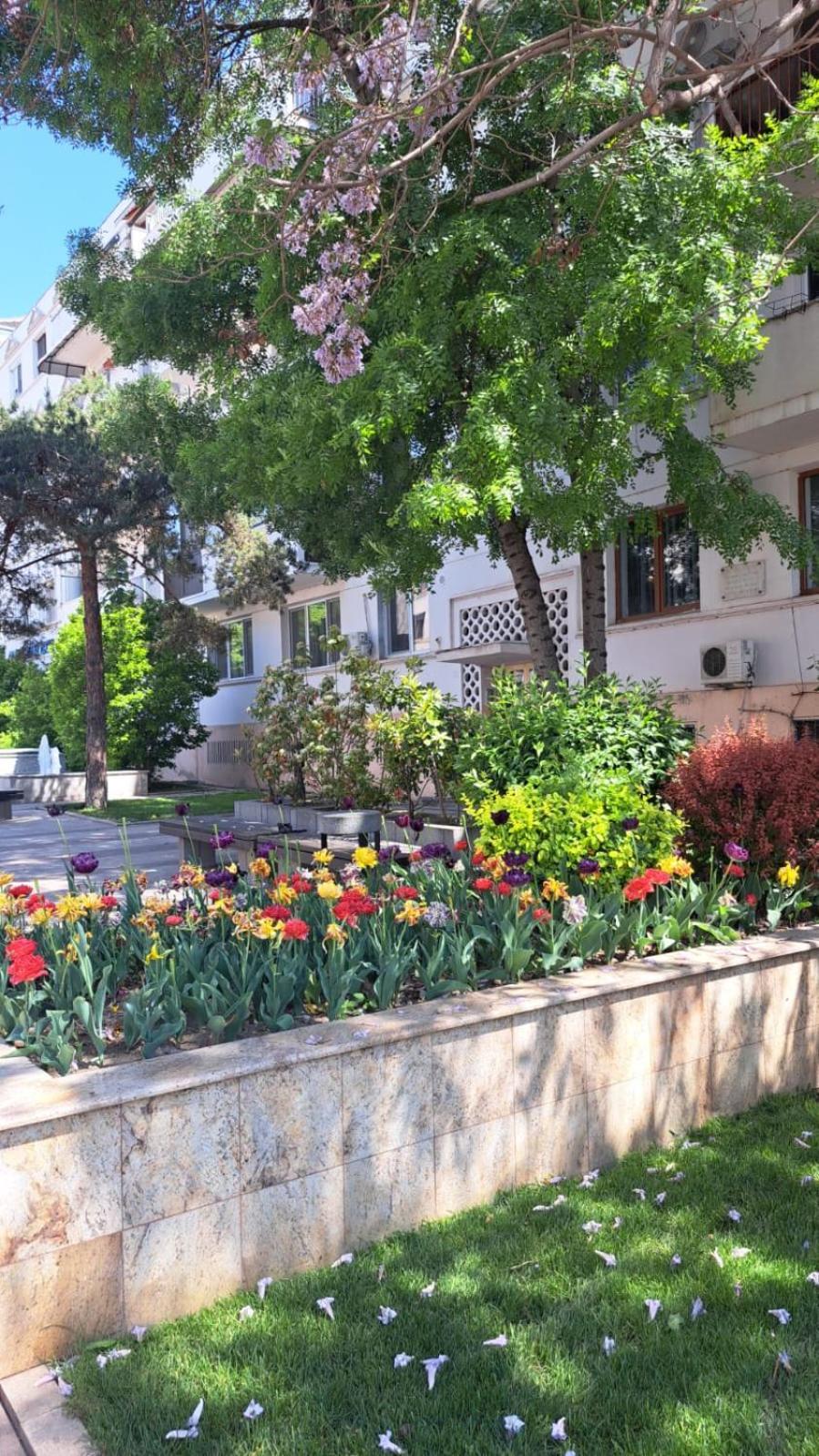 Apartament Kitty Centrul Istoric Крайова Экстерьер фото